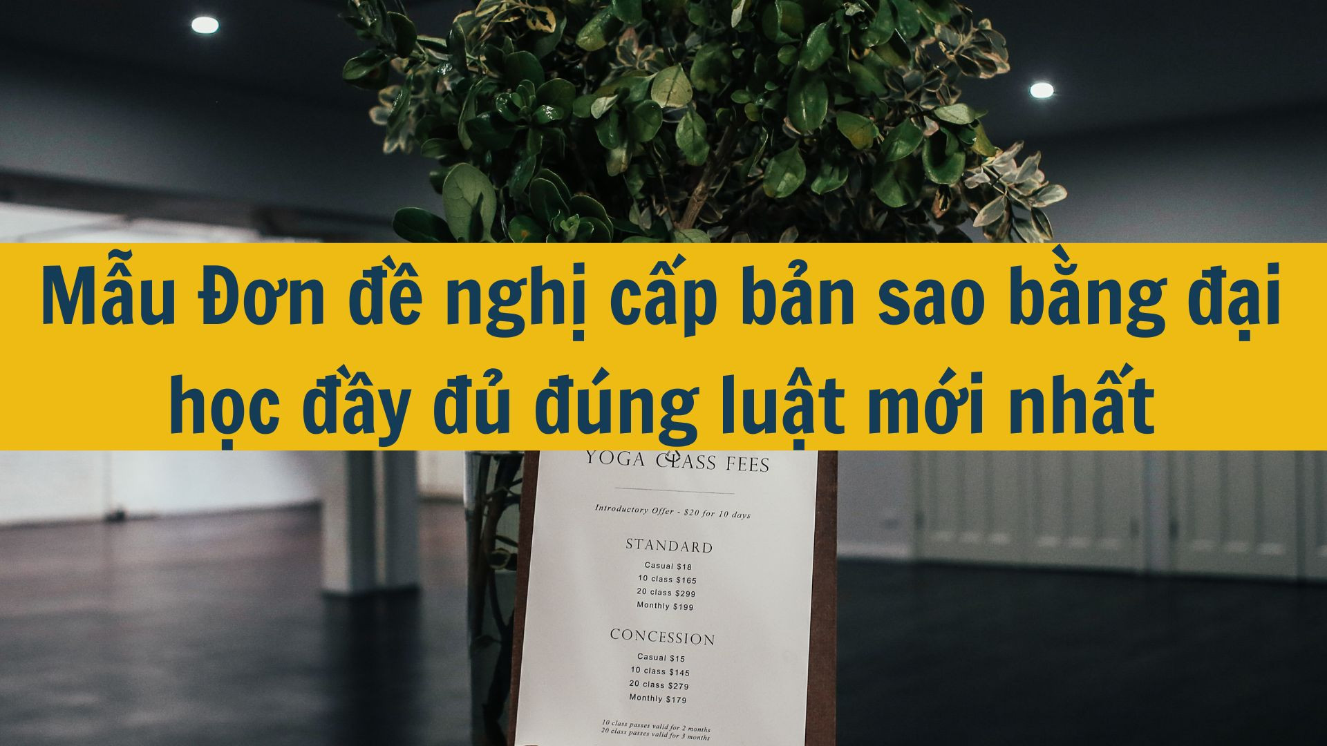 Mẫu Đơn đề nghị cấp bản sao bằng đại học đầy đủ đ&uacute;ng luật mới nhất 2025