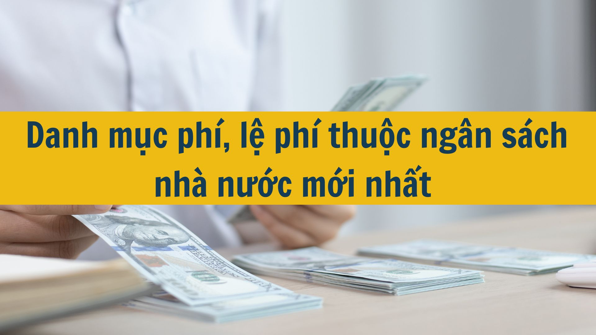 Danh mục ph&iacute;, lệ ph&iacute; thuộc ng&acirc;n s&aacute;ch nh&agrave; nước mới nhất 2025