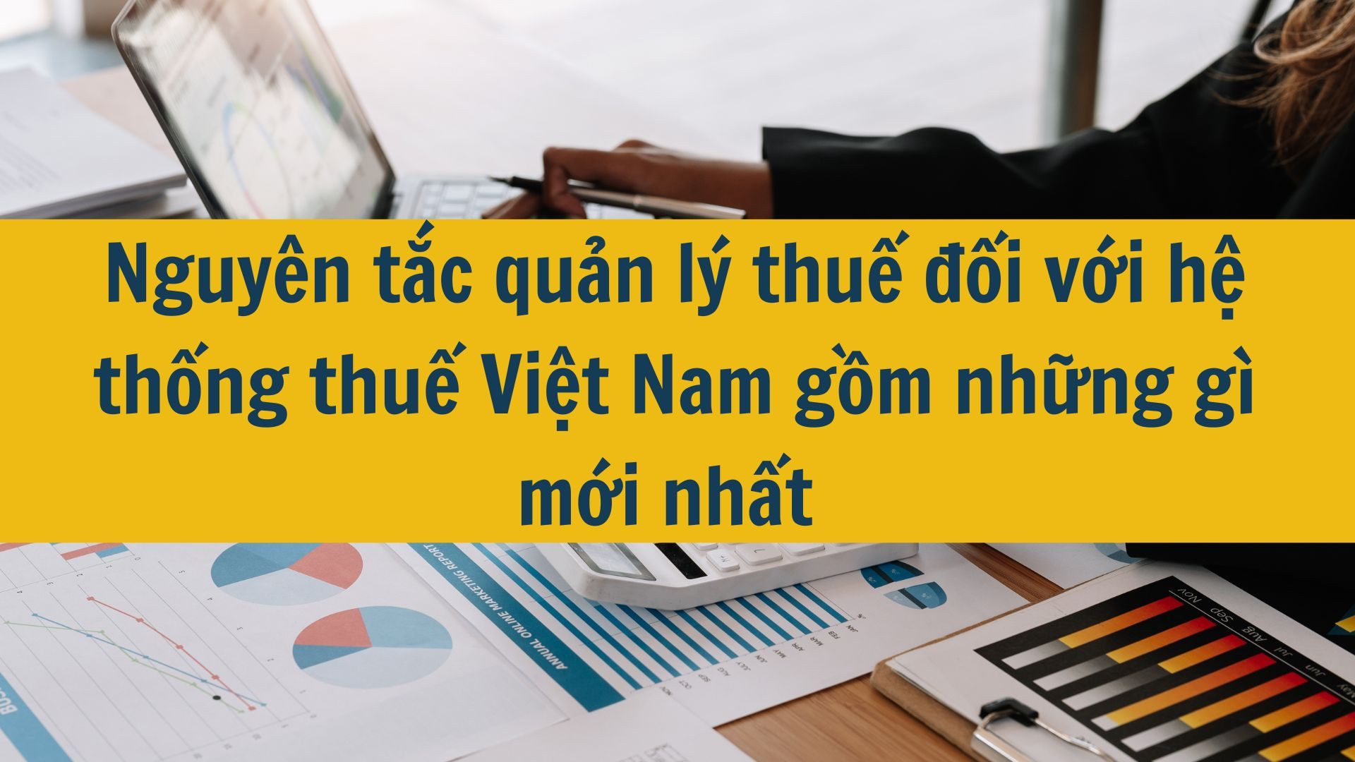 Nguy&ecirc;n tắc quản l&yacute; thuế đối với hệ thống thuế Việt Nam gồm những g&igrave; mới nhất 2025?