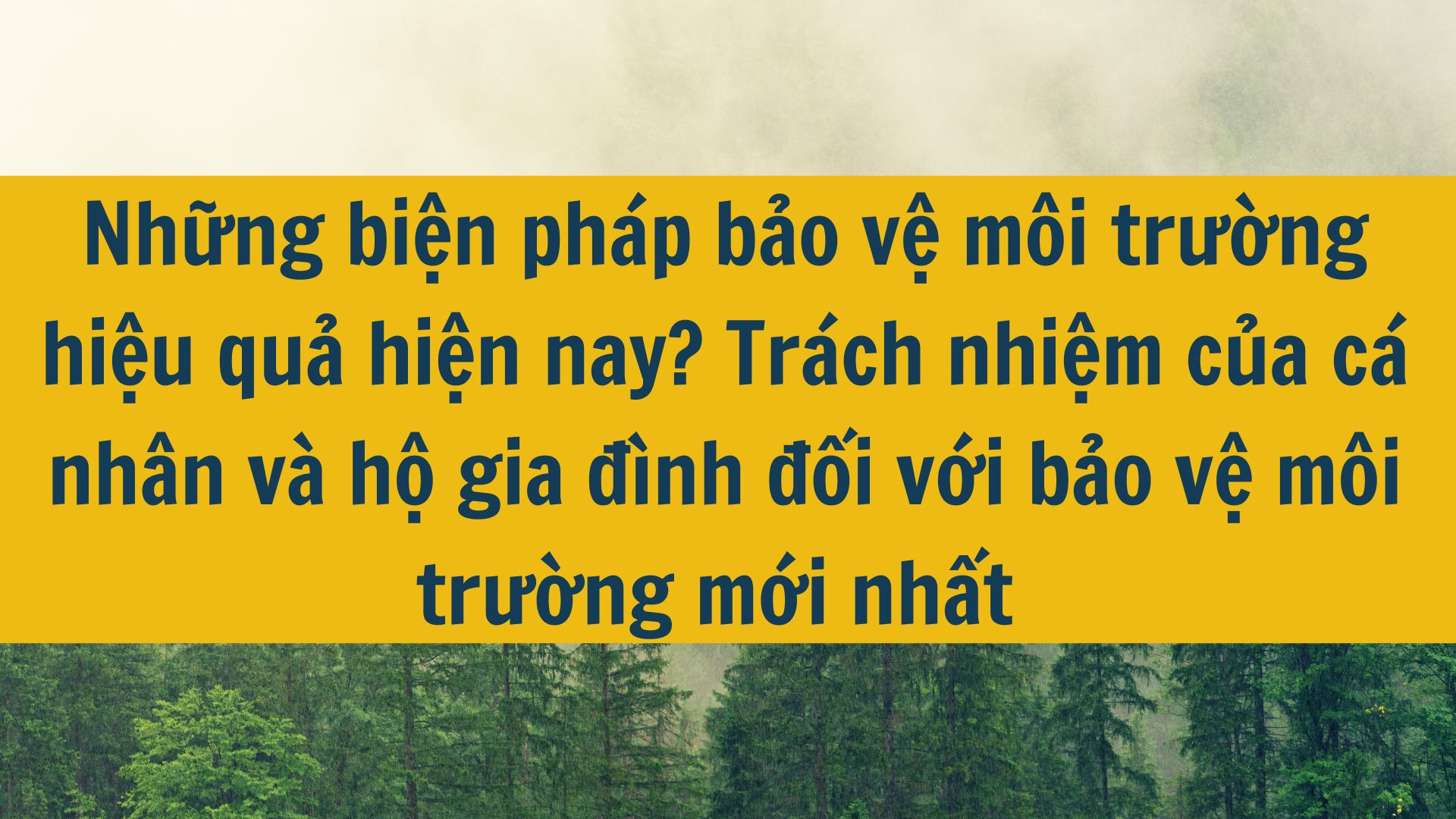 Những biện ph&aacute;p bảo vệ m&ocirc;i trường hiệu quả hiện nay? Tr&aacute;ch nhiệm của c&aacute; nh&acirc;n v&agrave; hộ gia đ&igrave;nh đối với bảo vệ m&ocirc;i trường mới nhất 2025?