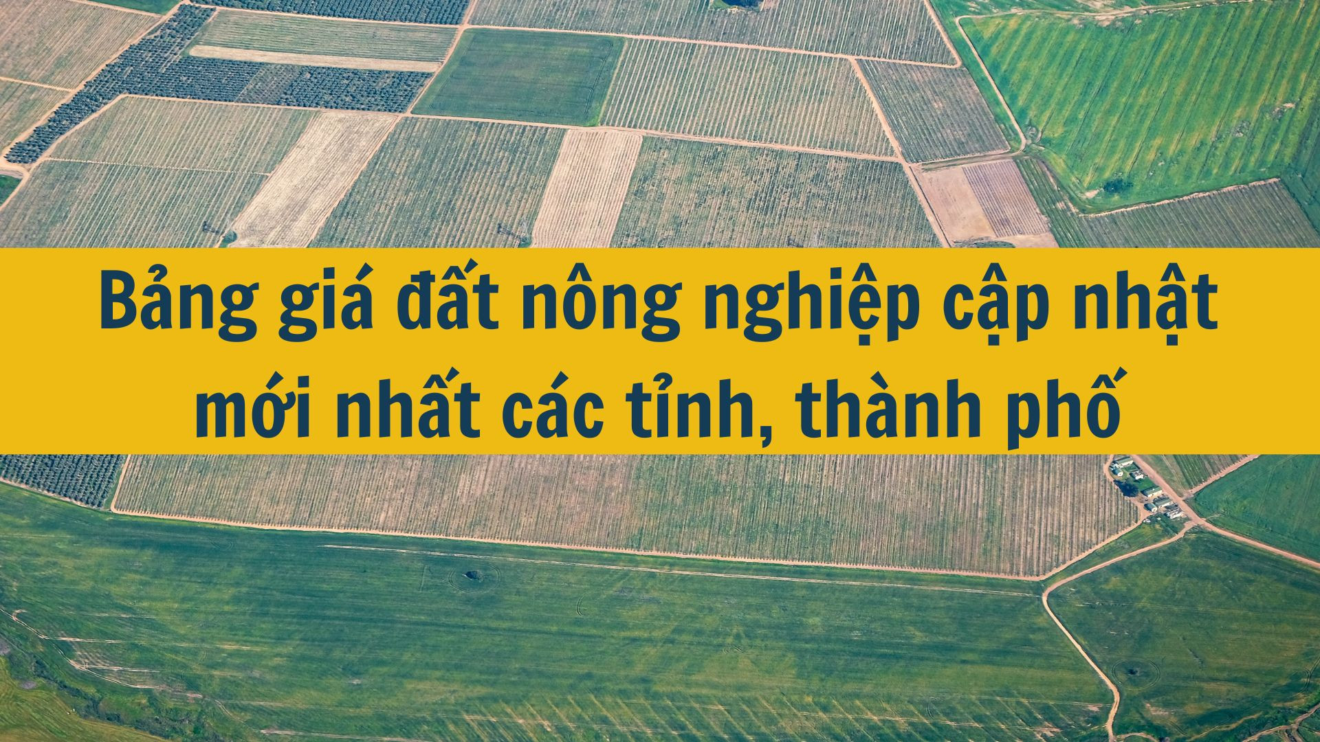 Bảng gi&aacute; đất n&ocirc;ng nghiệp cập nhật mới nhất 2025 c&aacute;c tỉnh, th&agrave;nh phố