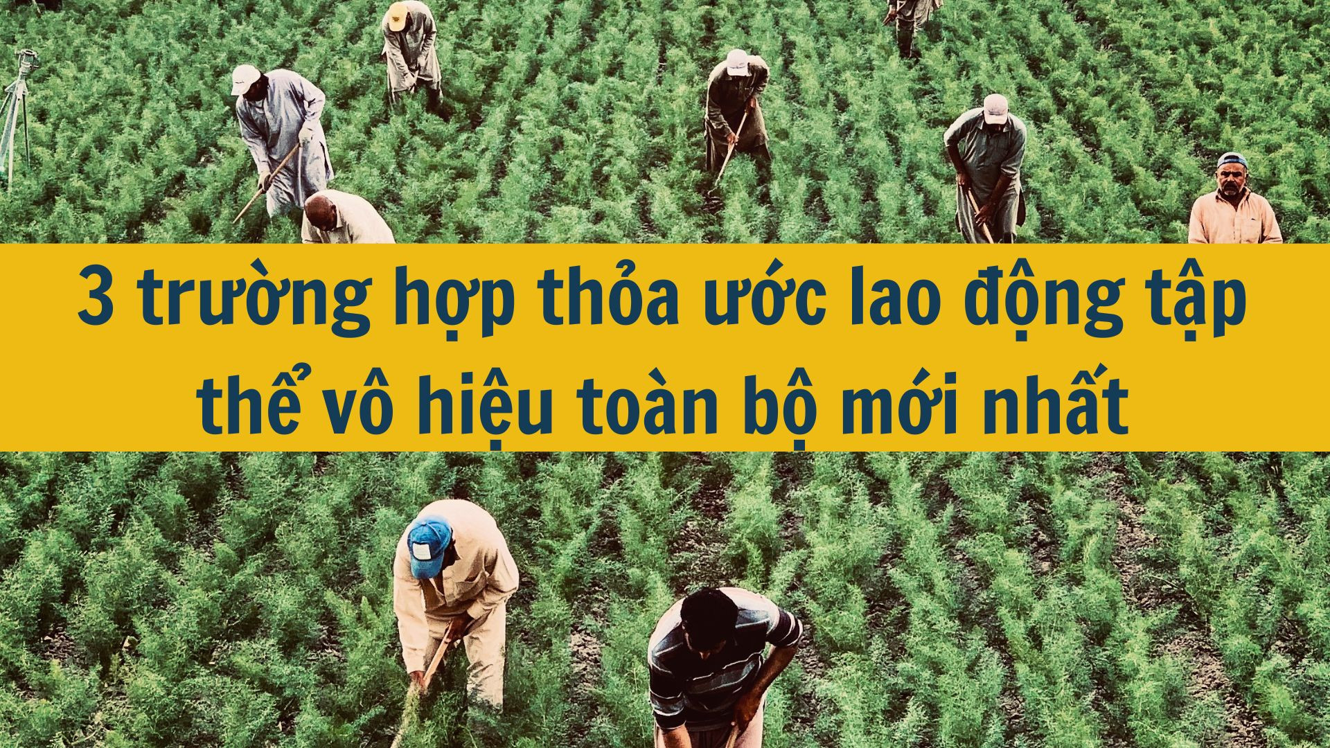 3 trường hợp thỏa ước lao động tập thể v&ocirc; hiệu to&agrave;n bộ mới nhất 2025