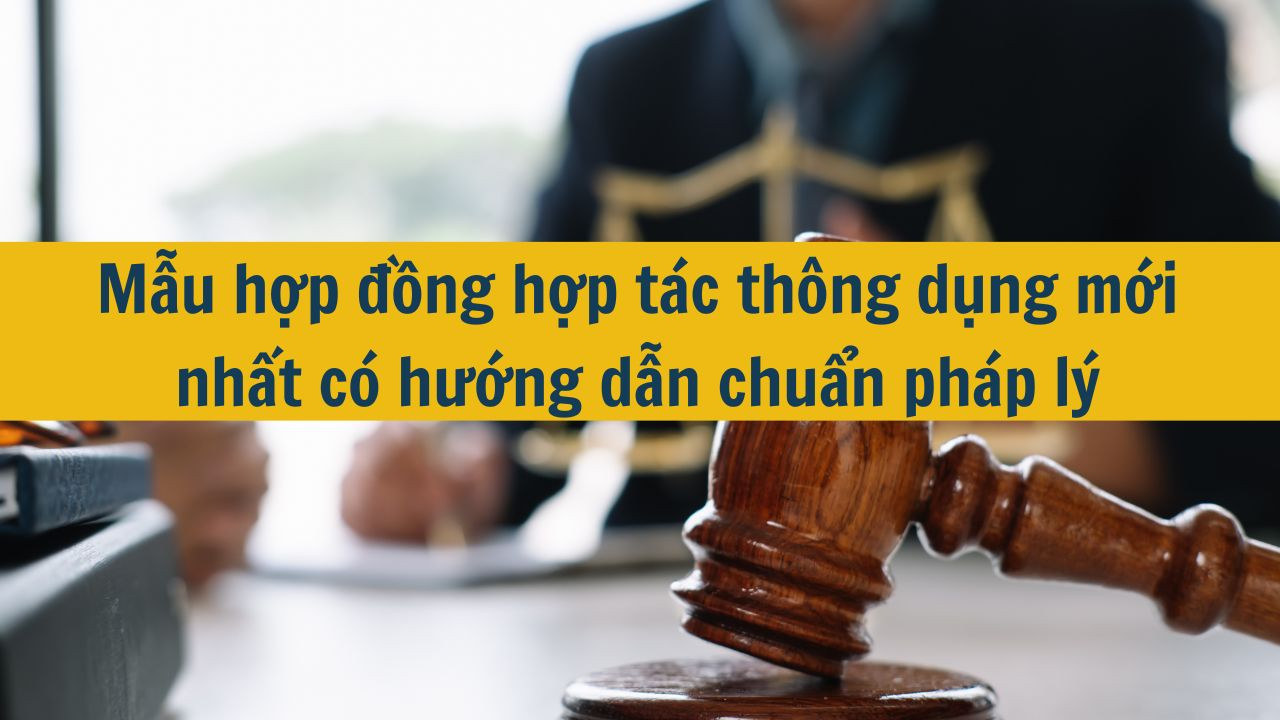Mẫu hợp đồng hợp t&aacute;c th&ocirc;ng dụng mới nhất 2025 c&oacute; hướng dẫn chuẩn ph&aacute;p l&yacute;