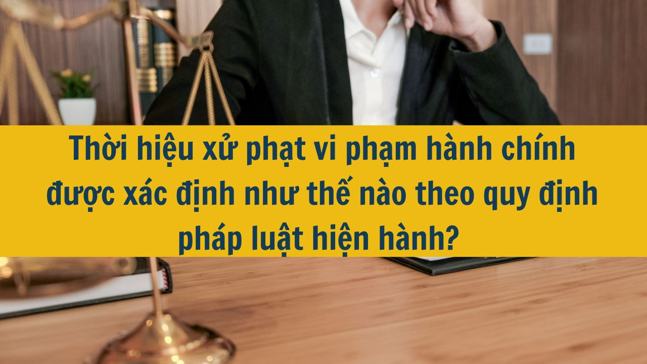 Thời hiệu xử phạt vi phạm h&agrave;nh ch&iacute;nh được x&aacute;c định như thế n&agrave;o theo quy định ph&aacute;p luật hiện h&agrave;nh? 