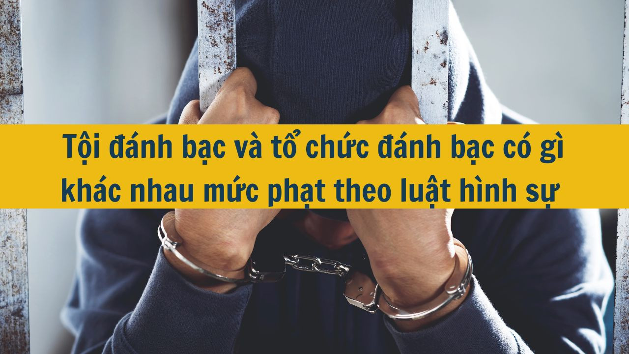 Tội đ&aacute;nh bạc v&agrave; tổ chức đ&aacute;nh bạc c&oacute; g&igrave; kh&aacute;c nhau mức phạt theo luật h&igrave;nh sự 2025