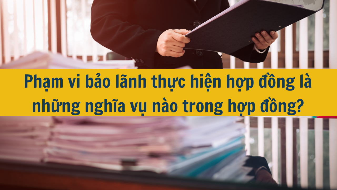 Phạm vi bảo l&atilde;nh thực hiện hợp đồng l&agrave; những nghĩa vụ n&agrave;o trong hợp đồng?