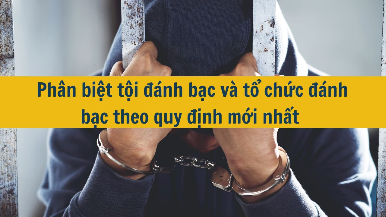 Ph&acirc;n biệt tội đ&aacute;nh bạc v&agrave; tổ chức đ&aacute;nh bạc theo quy định mới nhất 2025