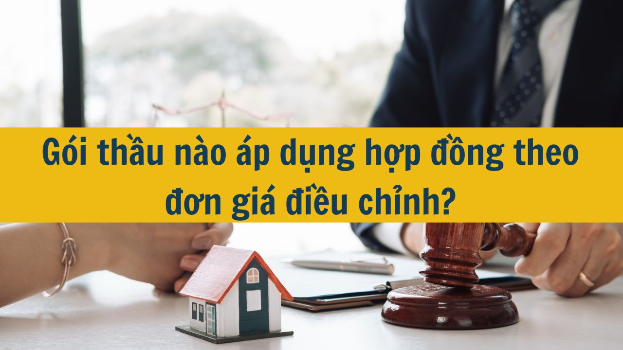 G&oacute;i thầu n&agrave;o &aacute;p dụng hợp đồng theo đơn gi&aacute; điều chỉnh?