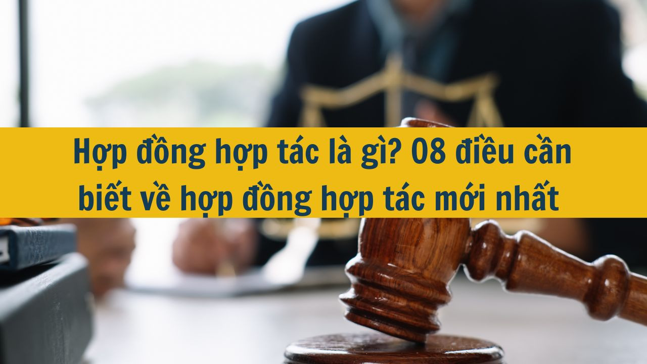 Hợp đồng hợp t&aacute;c l&agrave; g&igrave;? 08 điều cần biết về hợp đồng hợp t&aacute;c mới nhất 2025