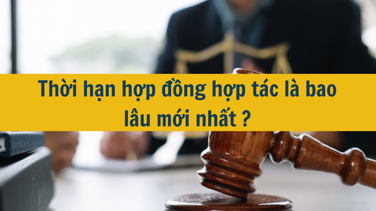 Thời hạn hợp đồng hợp t&aacute;c l&agrave; bao l&acirc;u mới nhất 2025?