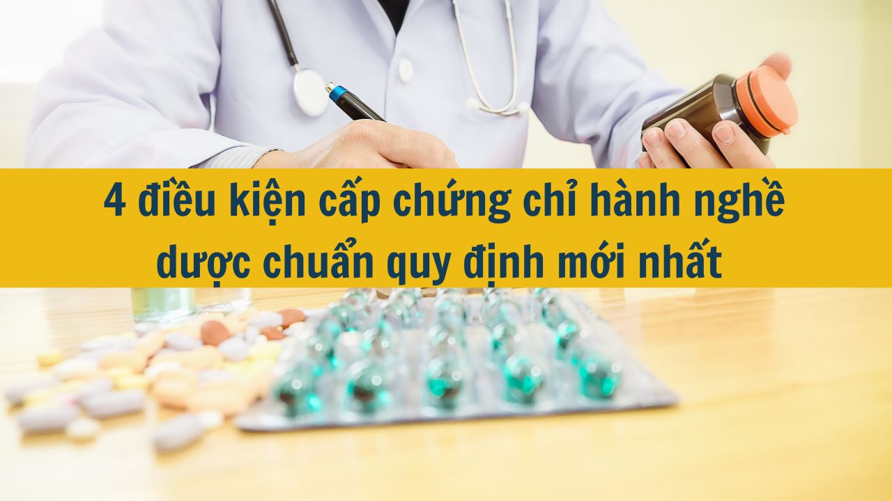 4 điều kiện cấp chứng chỉ h&agrave;nh nghề dược chuẩn quy định mới nhất 2025