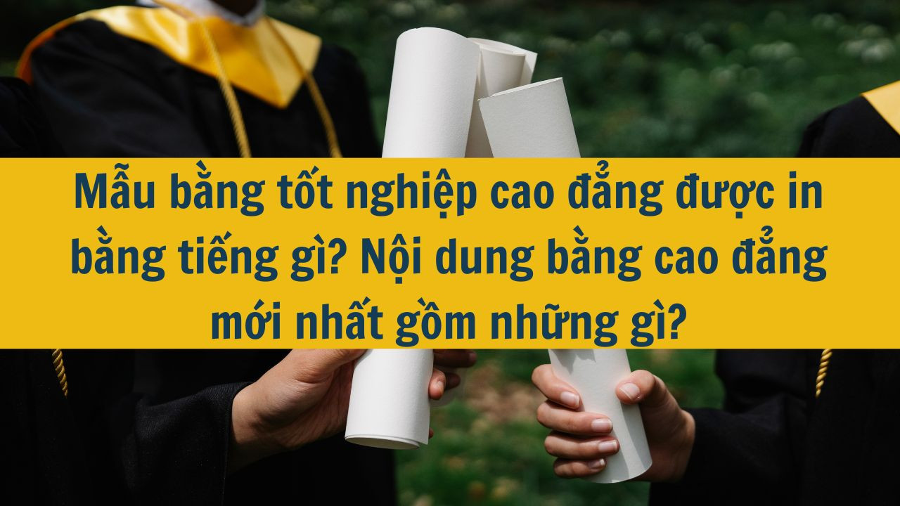 Mẫu bằng tốt nghiệp cao đẳng được in bằng tiếng g&igrave;? Nội dung bằng cao đẳng mới nhất 2025 gồm những g&igrave;?