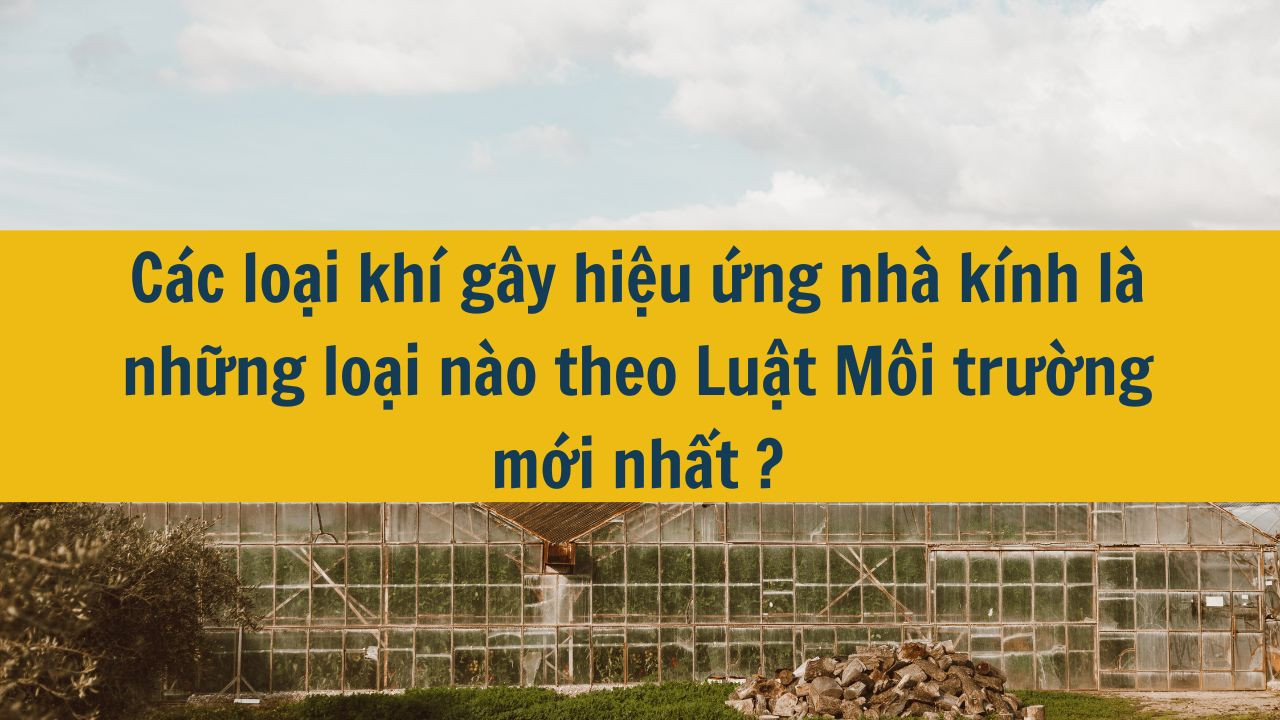 C&aacute;c loại kh&iacute; g&acirc;y hiệu ứng nh&agrave; k&iacute;nh l&agrave; những loại n&agrave;o theo Luật M&ocirc;i trường mới nhất 2025? 