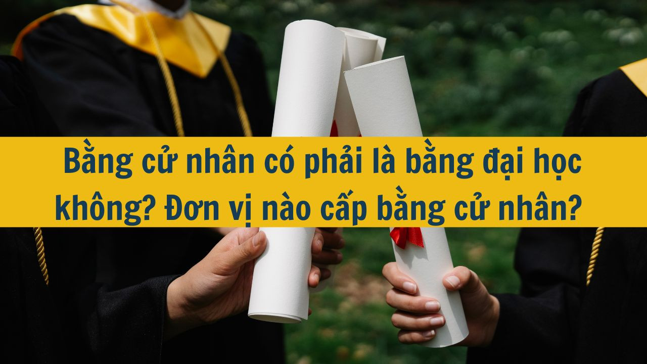 Bằng cử nh&acirc;n c&oacute; phải l&agrave; bằng đại học kh&ocirc;ng? Đơn vị n&agrave;o cấp bằng cử nh&acirc;n?