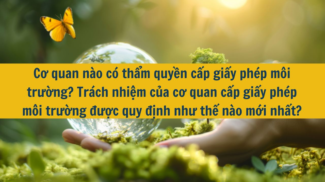 Cơ quan n&agrave;o c&oacute; thẩm quyền cấp giấy ph&eacute;p m&ocirc;i trường? Tr&aacute;ch nhiệm của cơ quan cấp giấy ph&eacute;p m&ocirc;i trường được quy định như thế n&agrave;o mới nhất 2025? 