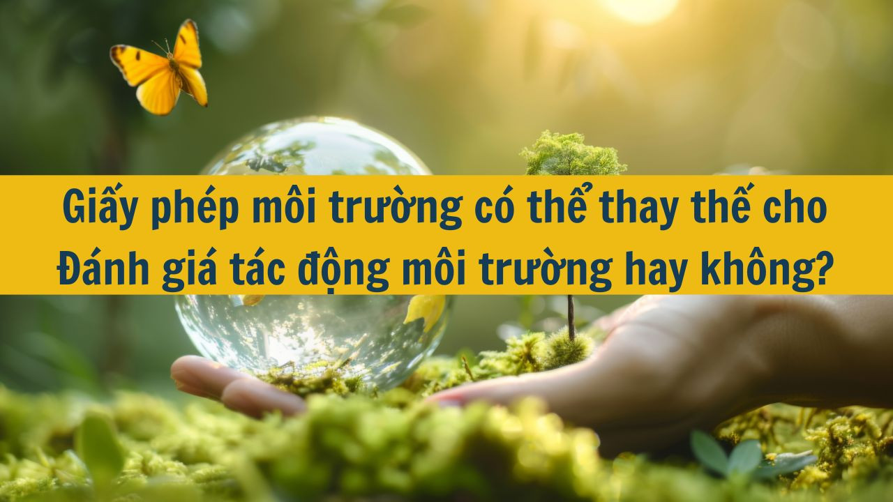 Giấy ph&eacute;p m&ocirc;i trường c&oacute; thể thay thế cho Đ&aacute;nh gi&aacute; t&aacute;c động m&ocirc;i trường hay kh&ocirc;ng?