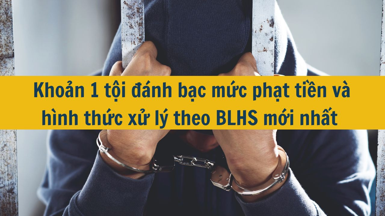 Khoản 1 tội đ&aacute;nh bạc mức phạt tiền v&agrave; h&igrave;nh thức xử l&yacute; theo BLHS mới nhất 2025