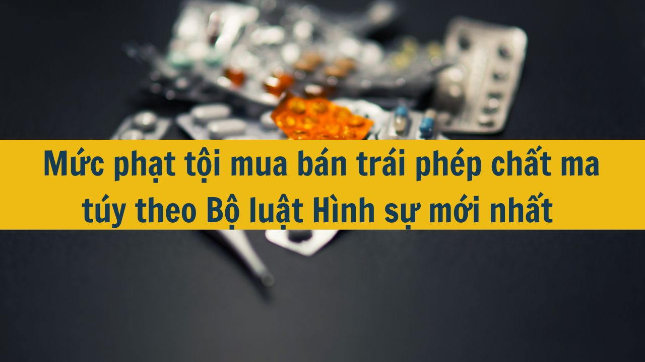 Mức phạt tội mua b&aacute;n tr&aacute;i ph&eacute;p chất ma t&uacute;y theo Bộ luật H&igrave;nh sự mới nhất 2025 
