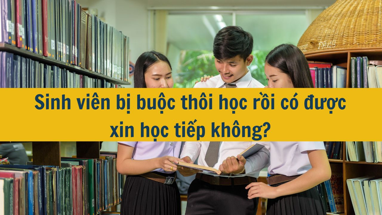 Sinh vi&ecirc;n bị buộc th&ocirc;i học rồi c&oacute; được xin học tiếp kh&ocirc;ng?