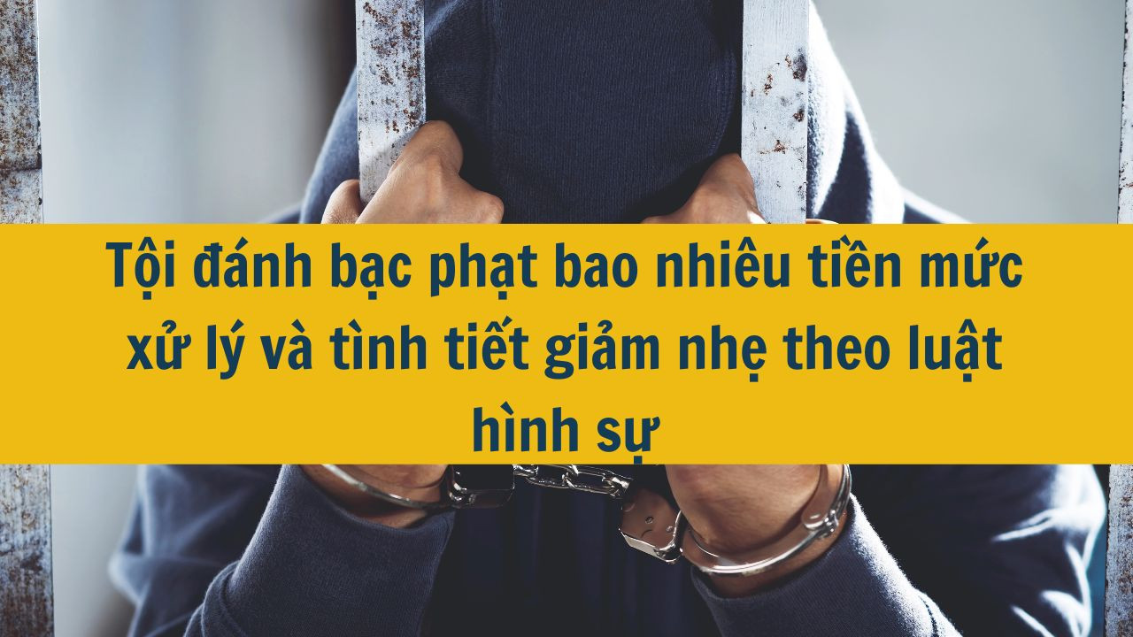 Tội đ&aacute;nh bạc phạt bao nhi&ecirc;u tiền mức xử l&yacute; v&agrave; t&igrave;nh tiết giảm nhẹ theo luật h&igrave;nh sự