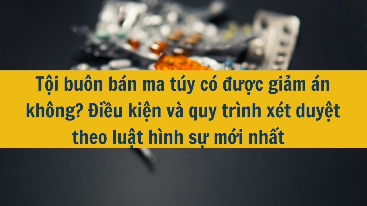 Tội bu&ocirc;n b&aacute;n ma t&uacute;y c&oacute; được giảm &aacute;n kh&ocirc;ng? Điều kiện v&agrave; quy tr&igrave;nh x&eacute;t duyệt theo luật h&igrave;nh sự mới nhất 2025