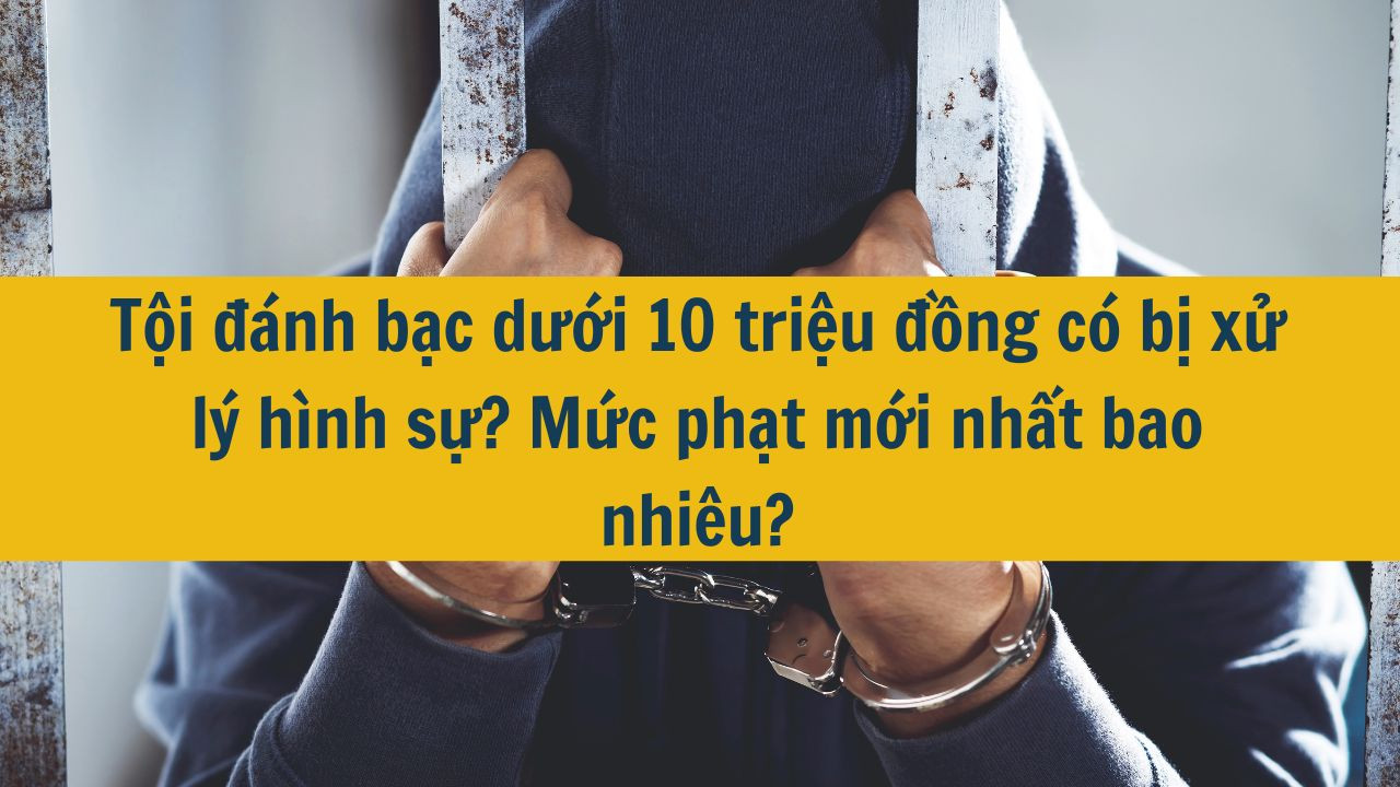 Tội đ&aacute;nh bạc dưới 10 triệu đồng c&oacute; bị xử l&yacute; h&igrave;nh sự? Mức phạt mới nhất 2025 bao nhi&ecirc;u?