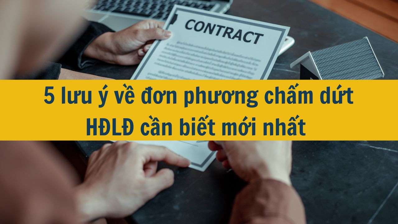 5 lưu &yacute; về đơn phương chấm dứt HĐLĐ cần biết mới nhất 2025