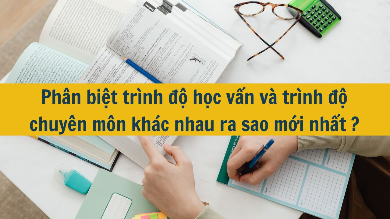 Ph&acirc;n biệt tr&igrave;nh độ học vấn v&agrave; tr&igrave;nh độ chuy&ecirc;n m&ocirc;n kh&aacute;c nhau ra sao mới nhất 2025?