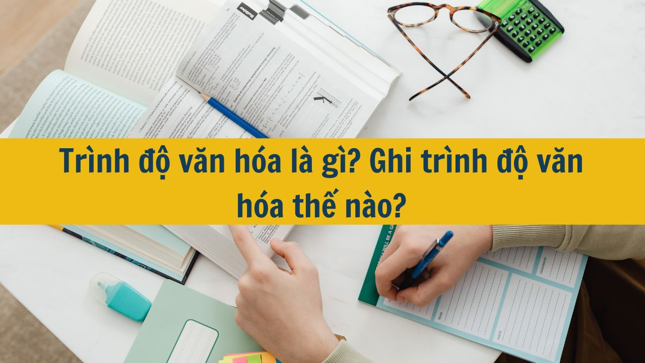 Tr&igrave;nh độ văn h&oacute;a l&agrave; g&igrave;? Ghi tr&igrave;nh độ văn h&oacute;a thế n&agrave;o?