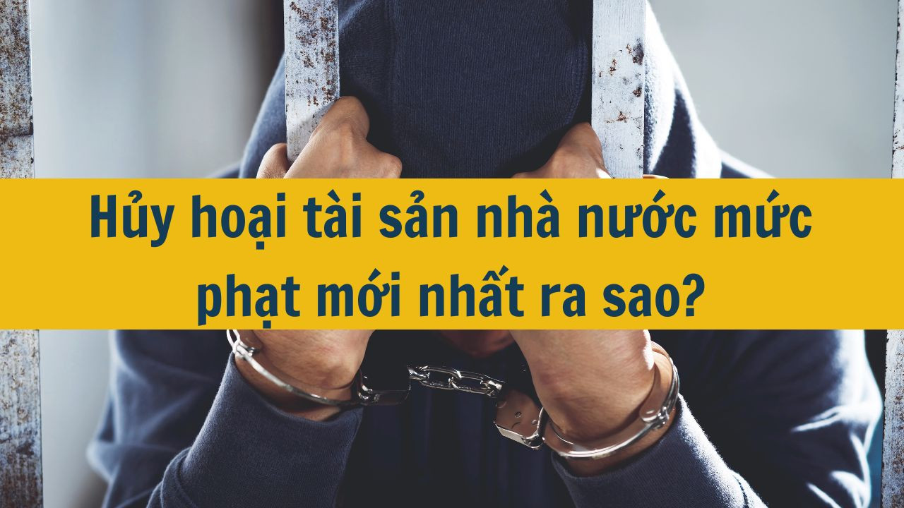 Hủy hoại t&agrave;i sản nh&agrave; nước mức phạt mới nhất 2025 ra sao?