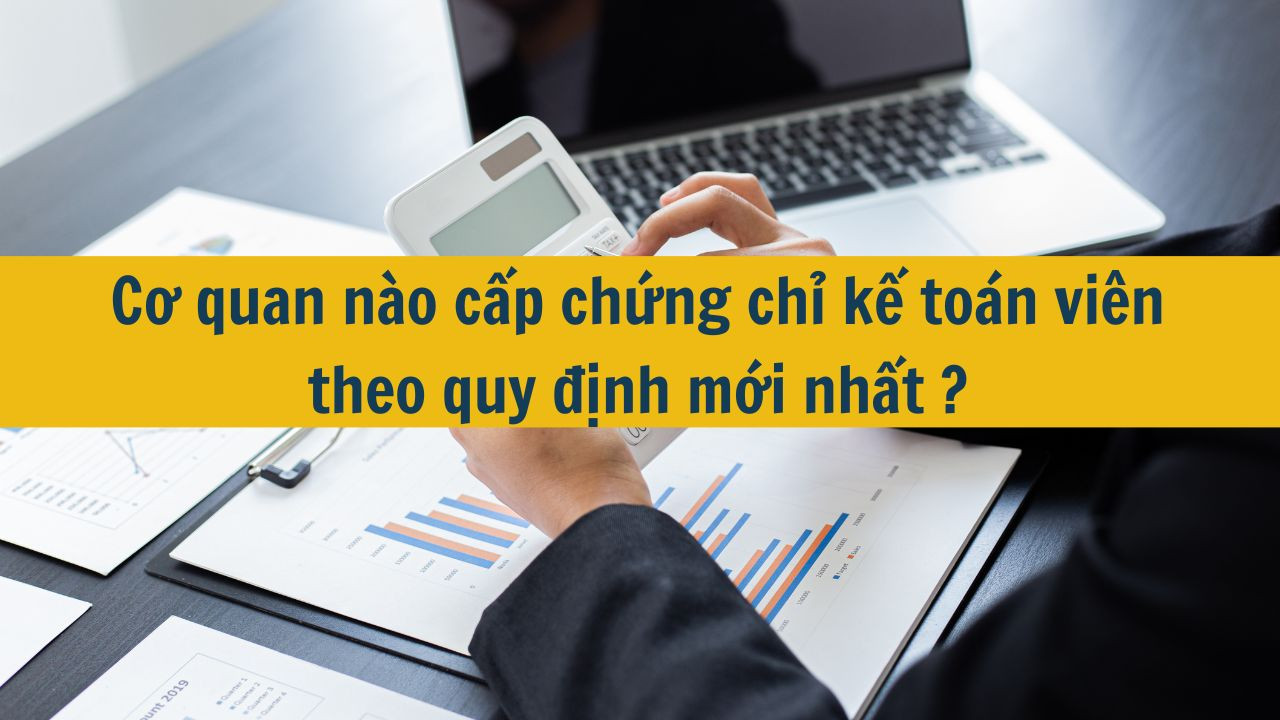 Cơ quan n&agrave;o cấp chứng chỉ kế to&aacute;n vi&ecirc;n theo quy định mới nhất 2025?