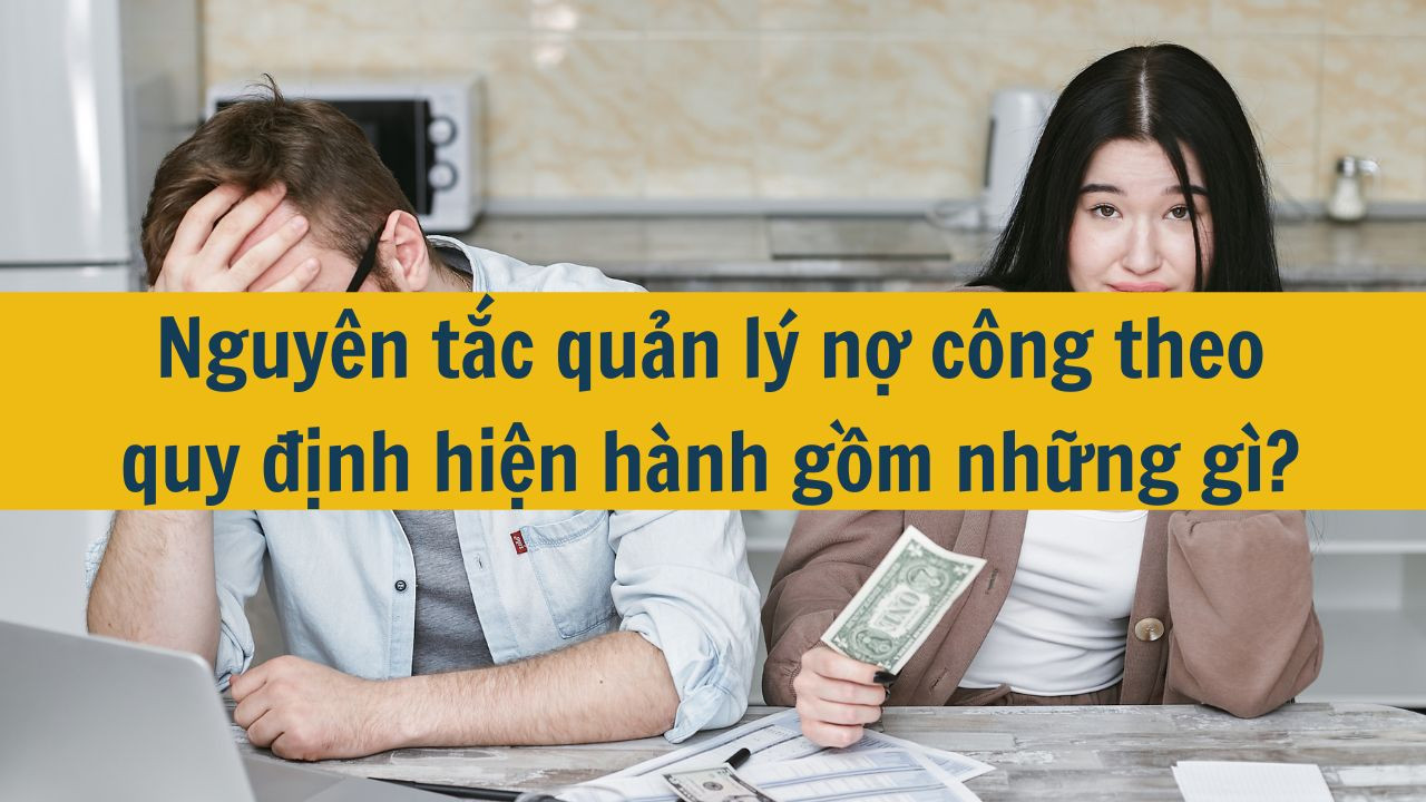 Nguy&ecirc;n tắc quản l&yacute; nợ c&ocirc;ng theo quy định hiện h&agrave;nh gồm những g&igrave;?