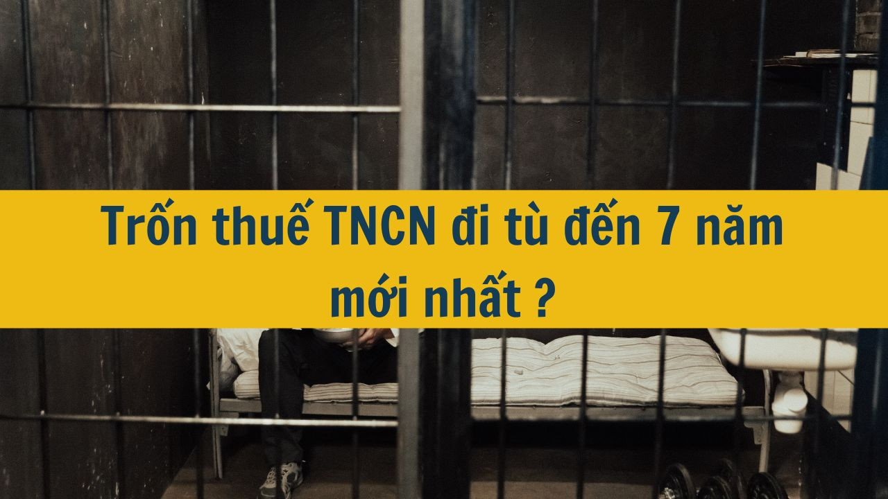 Trốn thuế TNCN đi t&ugrave; đến 7 năm mới nhất 2025?