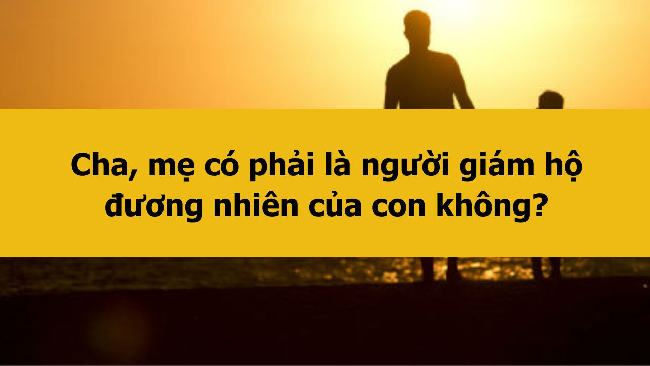 Cha, mẹ c&oacute; phải l&agrave; người gi&aacute;m hộ đương nhi&ecirc;n của con kh&ocirc;ng?
