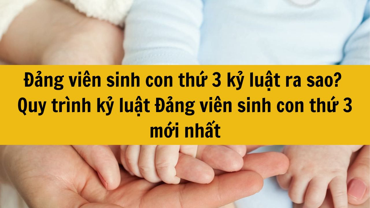 Đảng vi&ecirc;n sinh con thứ 3 kỷ luật ra sao? Quy tr&igrave;nh kỷ luật Đảng vi&ecirc;n sinh con thứ 3 mới nhất 2025