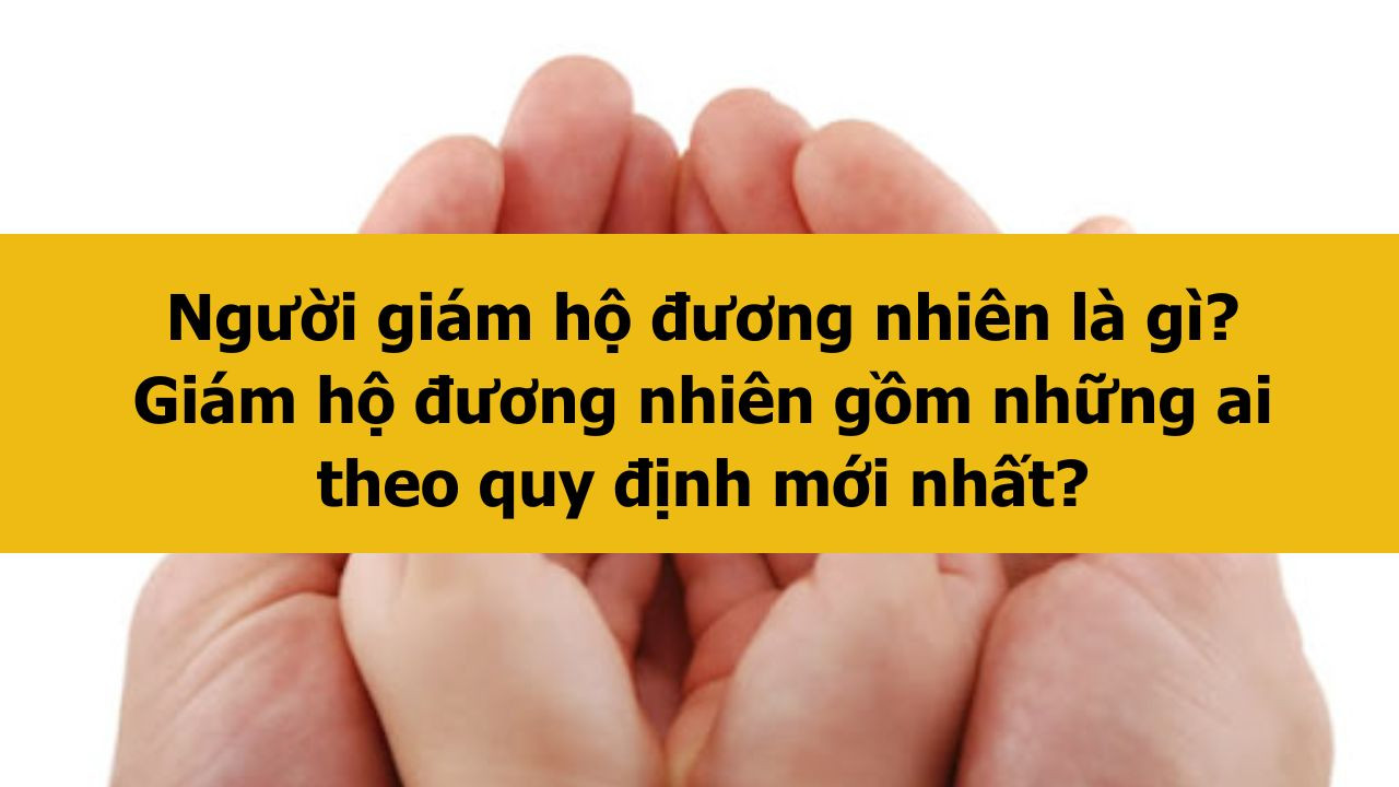 Người gi&aacute;m hộ đương nhi&ecirc;n l&agrave; g&igrave;? Gi&aacute;m hộ đương nhi&ecirc;n gồm những ai theo quy định mới nhất 2025?