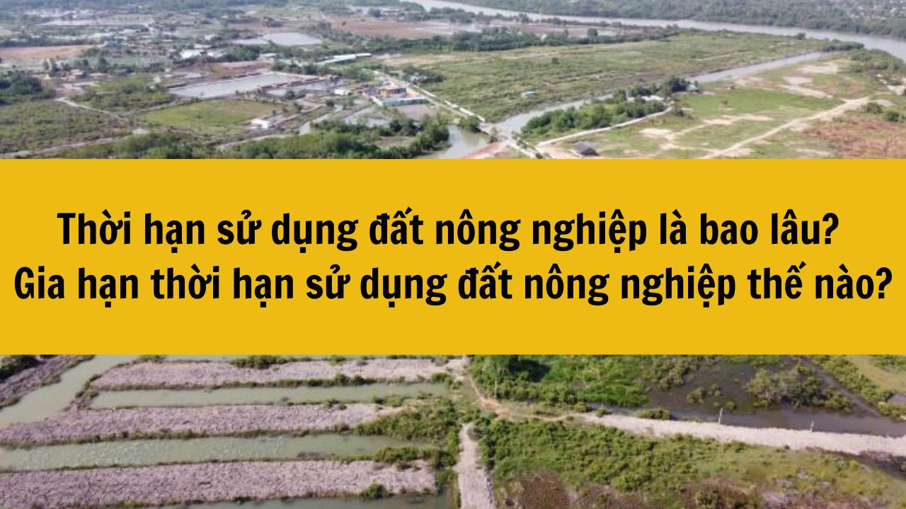 Thời hạn sử dụng đất n&ocirc;ng nghiệp l&agrave; bao l&acirc;u? Gia hạn thời hạn sử dụng đất n&ocirc;ng nghiệp thế n&agrave;o?