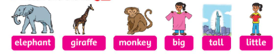 Tiếng Anh lớp 3 Unit 4: I like monkeys – Chân trời sáng tạo (ảnh 1)