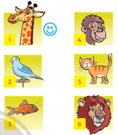 Tiếng Anh lớp 3 Unit 4: I like monkeys – Chân trời sáng tạo (ảnh 1)