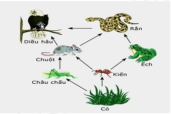 Tài liệu VietJack