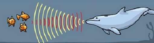Lý thuyết Vật lí 12 Bài 7: Sóng cơ và sự truyền sóng cơ (ảnh 1)