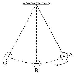 Một con lắc đang dao động từ vị trí A sang vị trí C và ngược lại (ảnh 1)