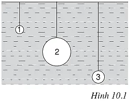 Ba quả cầu bằng thép nhúng trong nước. Hỏi lực Ác – si –mét tác dụng lên quả cầu (ảnh 1)
