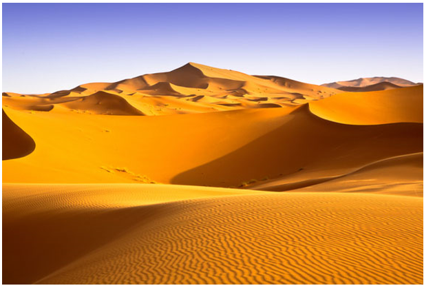 Tìm hiểu về hoang mạc Xa-ha-ra (ảnh 1)