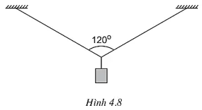 Biểu diễn các vectơ lực tác dụng lên vật được treo bởi hai sợi dây giống hệt nhau (ảnh 1)