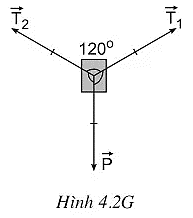 Biểu diễn các vectơ lực tác dụng lên vật được treo bởi hai sợi dây giống hệt nhau (ảnh 1)