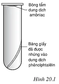 Nhúng đầu một băng giấy hẹp vào dung dịch phênolphtalêin rồi đặt vào một ống nghiệm (ảnh 1)