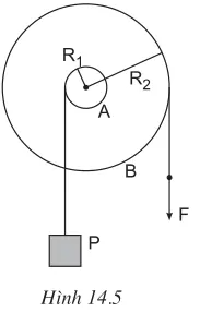 Hình 14.5 là sơ đồ một trục kéo vật P có trọng lượng là 200 N buộc vào sợi dây cuốn quanh trục A (ảnh 1)