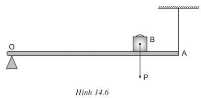 Tính lực căng của sợi dây ở hình 14.6 cho biết OB = 20 cm, AB = 5 cm và trọng lượng của vật (ảnh 1)