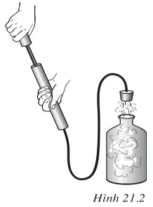 Một chai thủy tinh được đậy kín bằng một nút cao su nối với một bơm tay (ảnh 1)